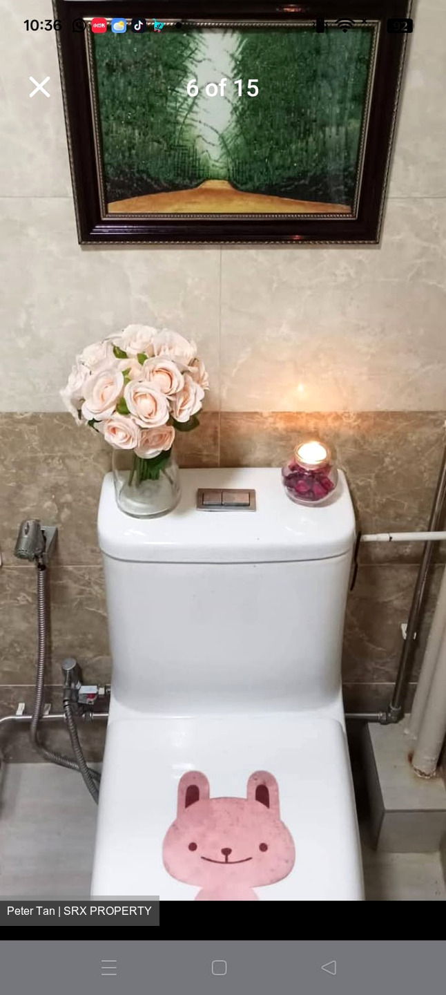 Blk 163 Toa Payoh Green (Toa Payoh), HDB 3 Rooms #601620961